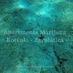 Apartman Marijana Zavalatica