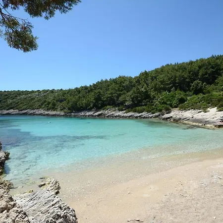 Marijana Lejlighed Zavalatica