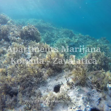 Marijana Apartament *