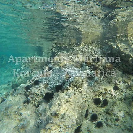 Apartament Marijana *