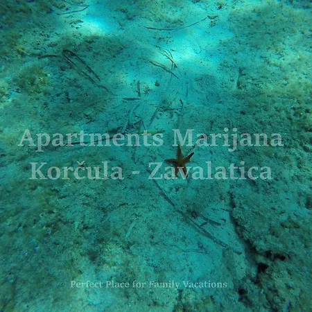 Apartment Marijana Zavalatica