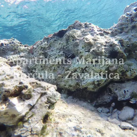 Marijana Apartament *