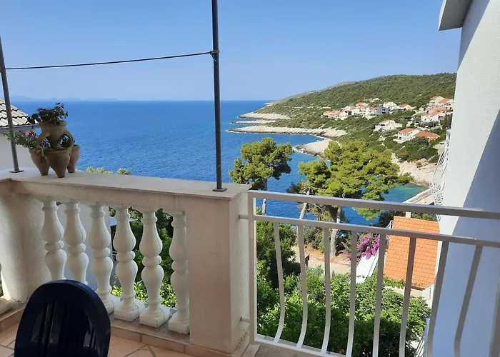 Marijana * זבלטיצה