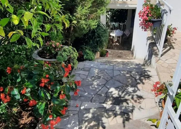 Marijana * 자발라티카