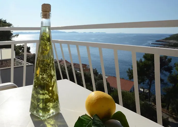 Marijana 자발라티카