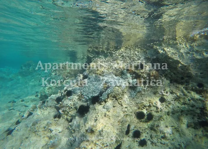 아파트 Marijana *