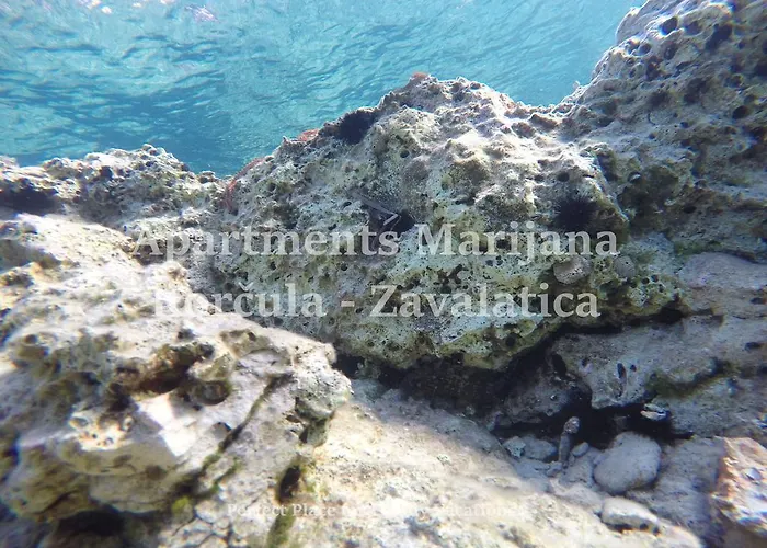 Marijana 아파트 *