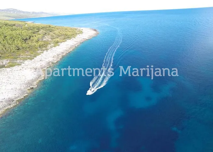 Marijana * זבלטיצה